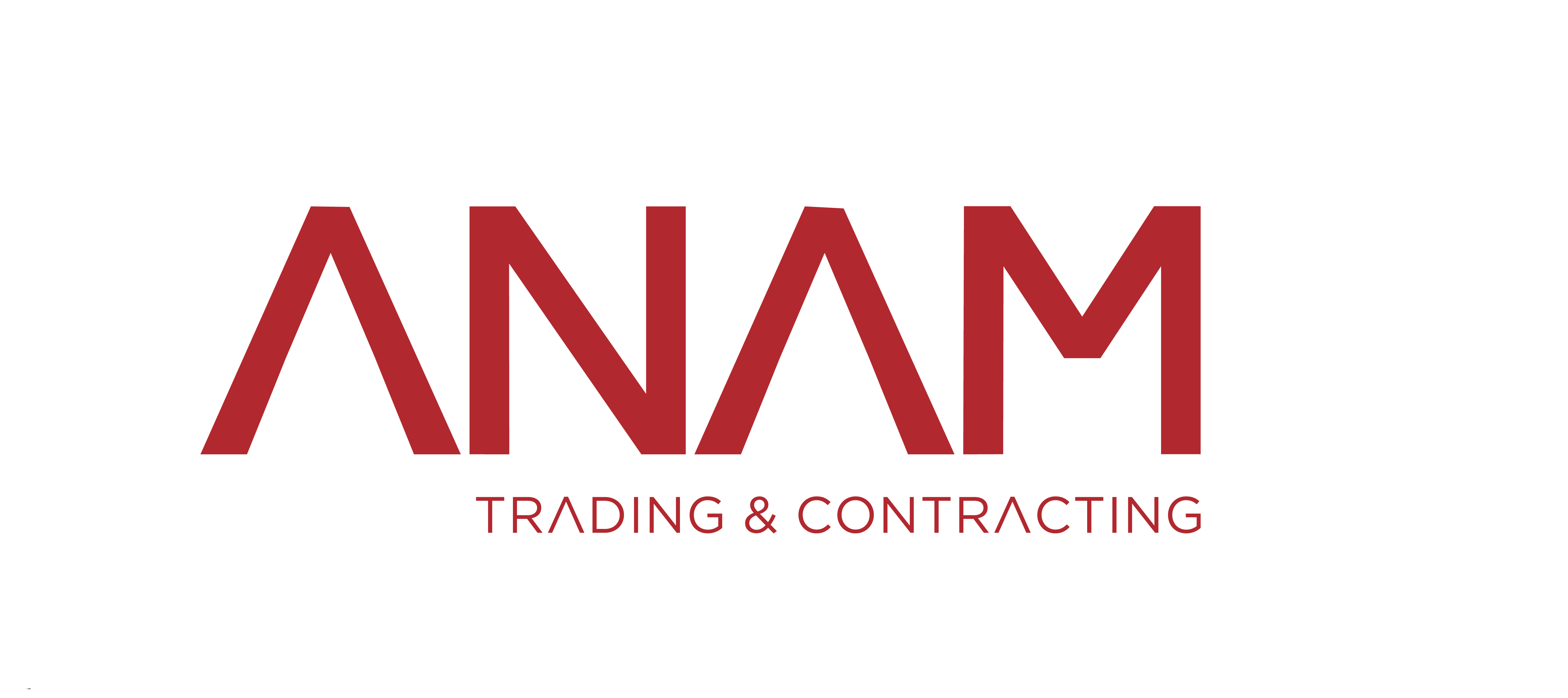 Anam logo