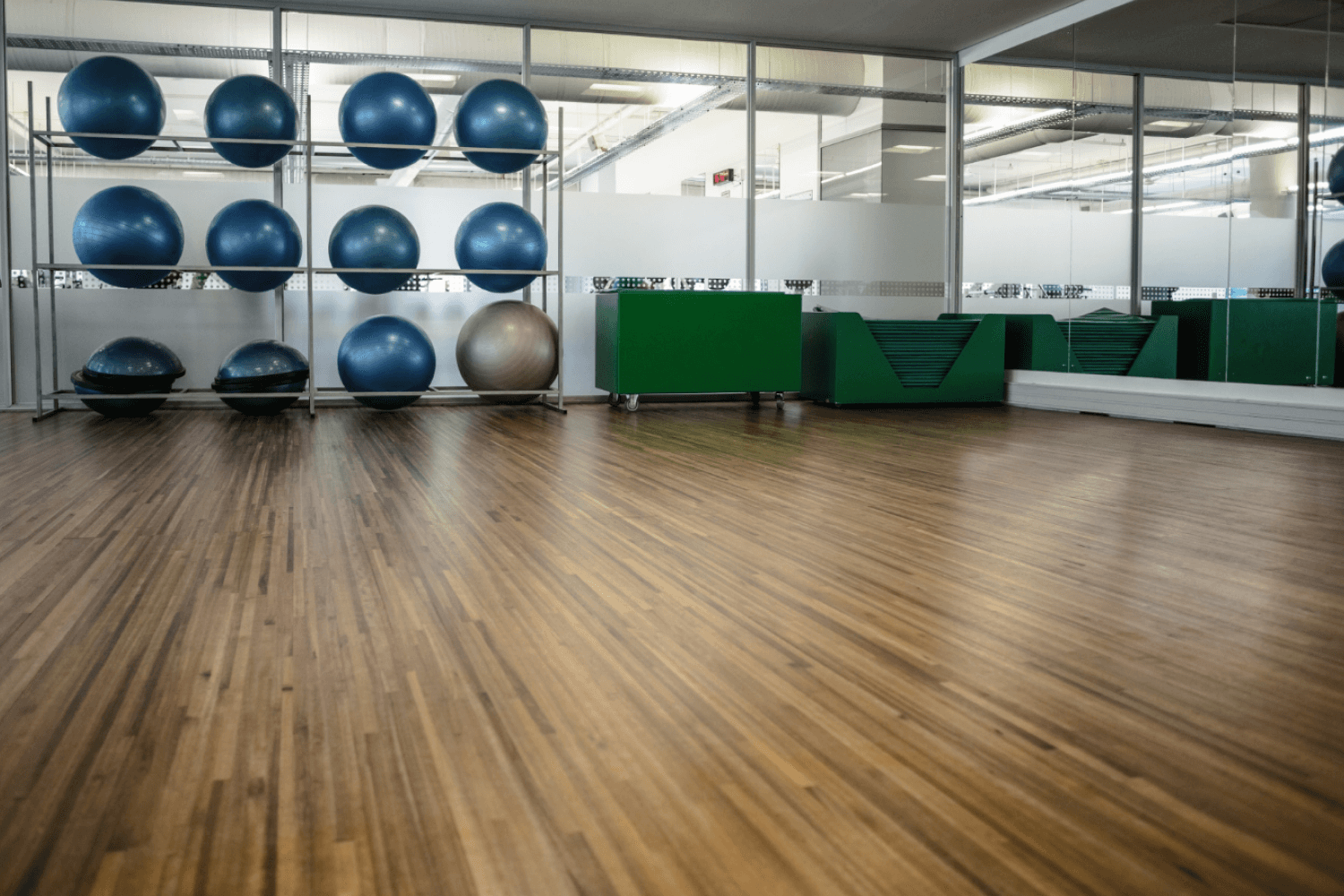 Gym Vinyl Flooring